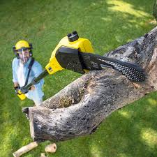 Best Arborist Consultation Services  in Pembroke, VA